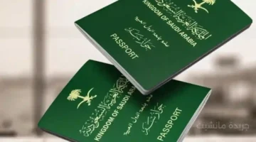 لإنهاء الجدل.. السعودية تعلن رسميًا الشروط الجديدة لتأشيرة الزيارة العائلية 1